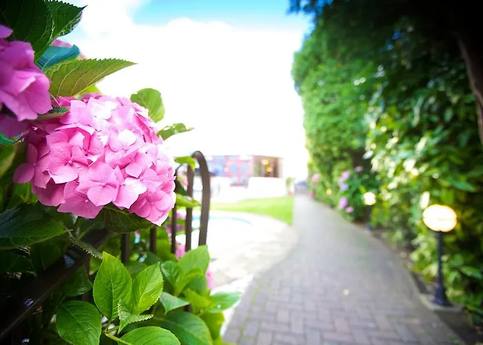 Apollo Saint Helier Jersey