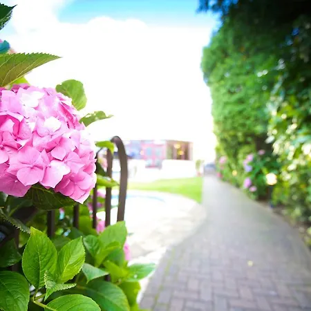 Apollo Saint Helier Jersey